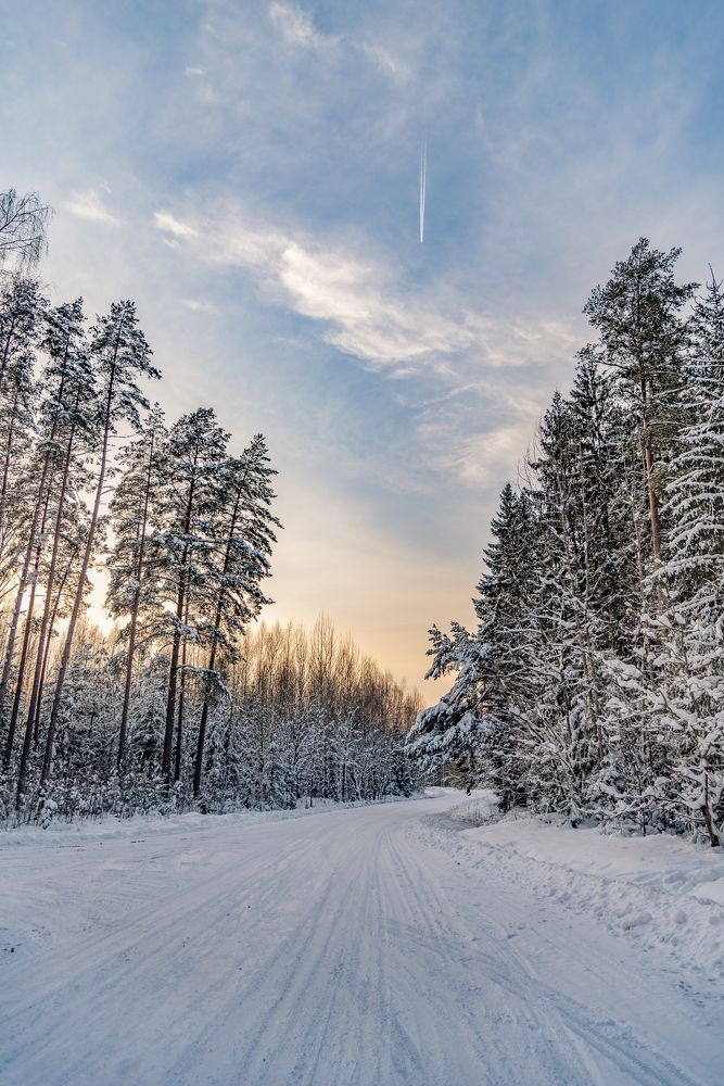 Photograph by Evita Puzane