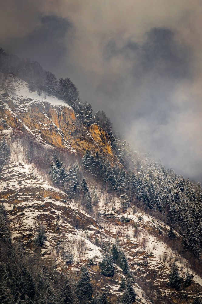 Photograph by Lionel Thenadey