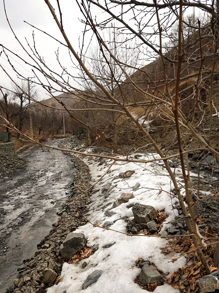 Фотография автора Nima Nezafat Yazdi