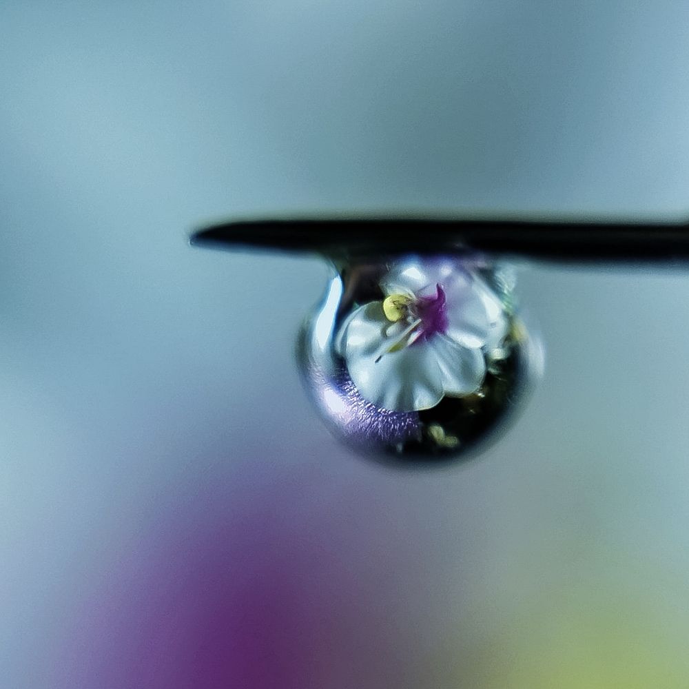 Photograph by Оксана Маракушина