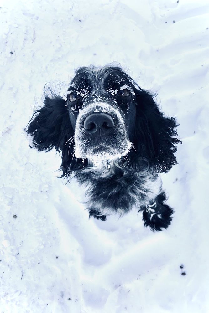 Взгляд на -20!)