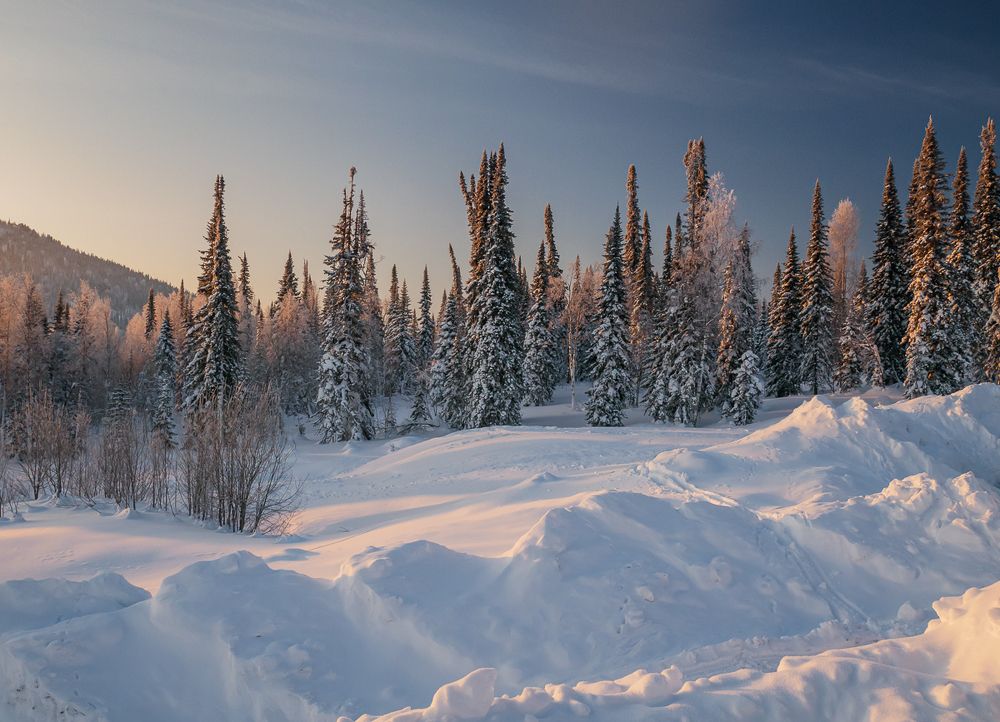 Photograph by Анастасия Стародубцева