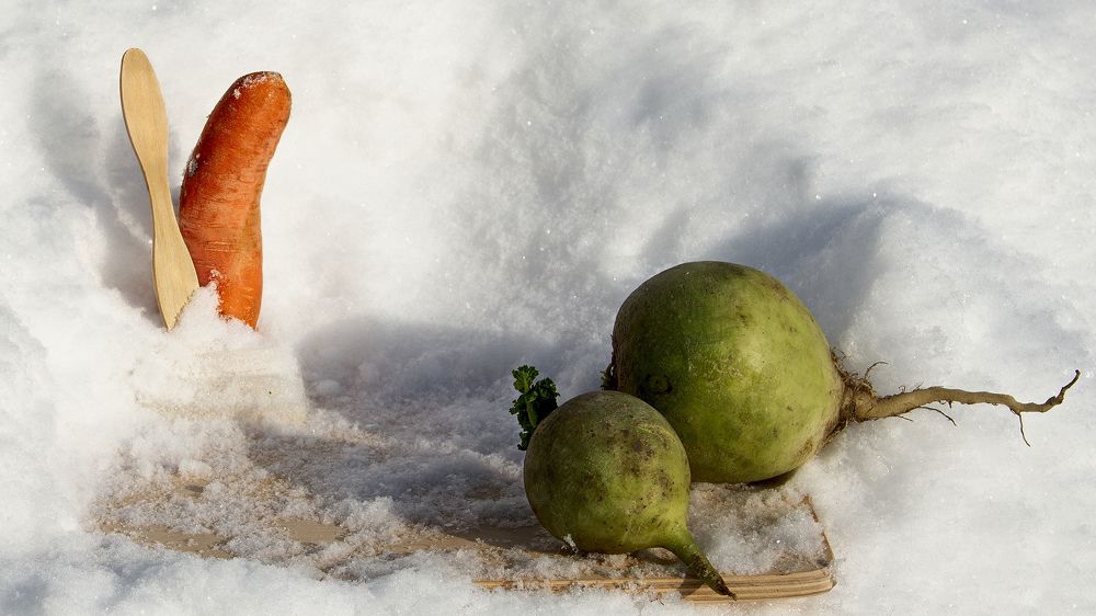 В зимнем парке. Девушка с веслом.
