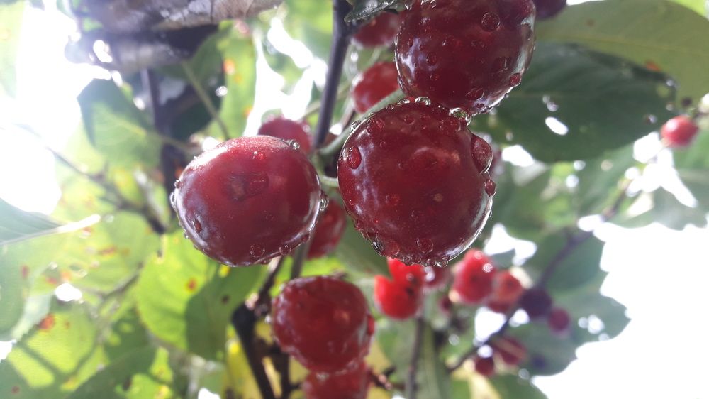 Photograph by Марина