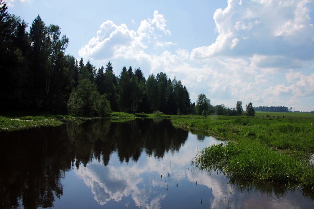 Photograph by Александр Кращук