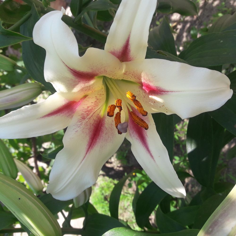 Photograph by Марина