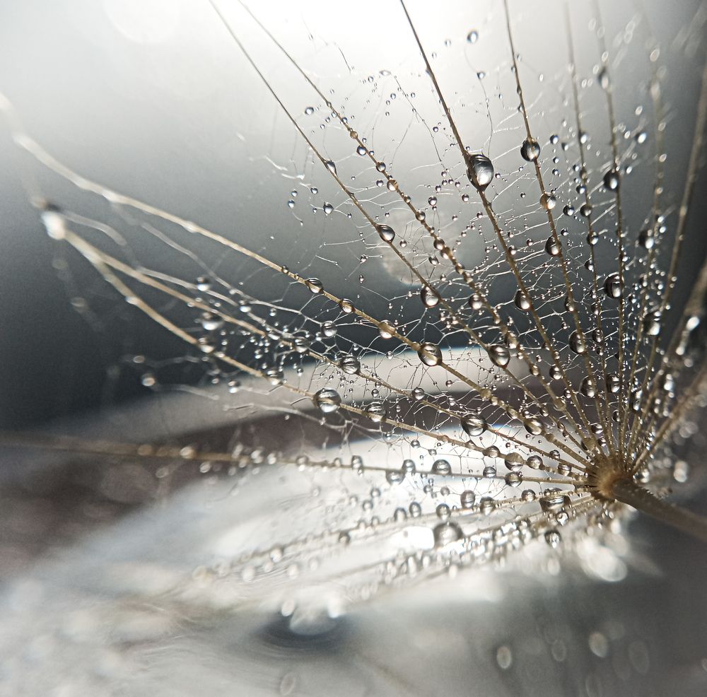 Photograph by Ольга Посадская