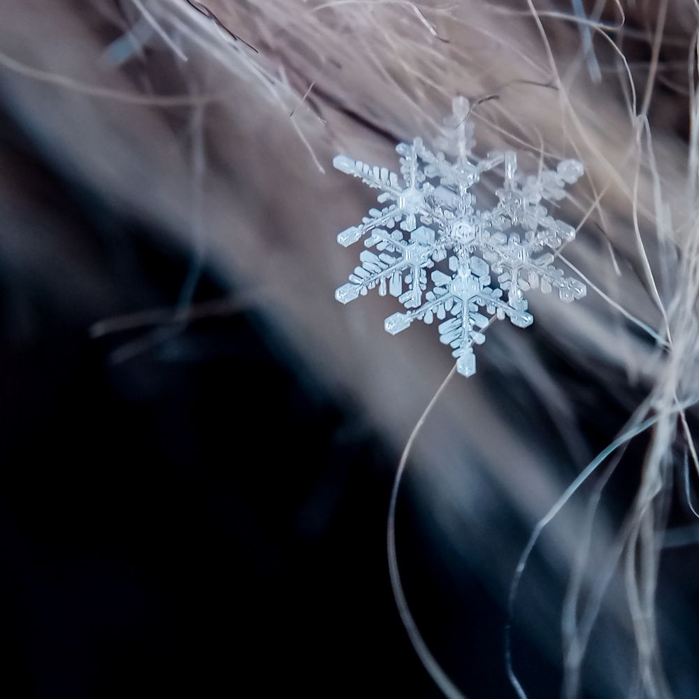 Photograph by Ольга Посадская