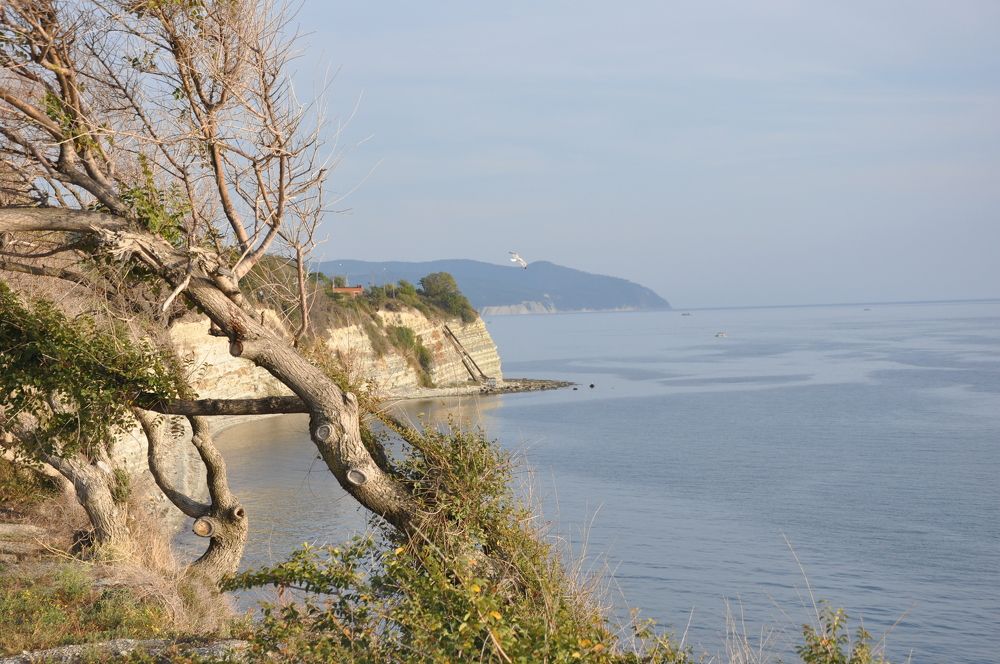 Photograph by Валерия Перфильева