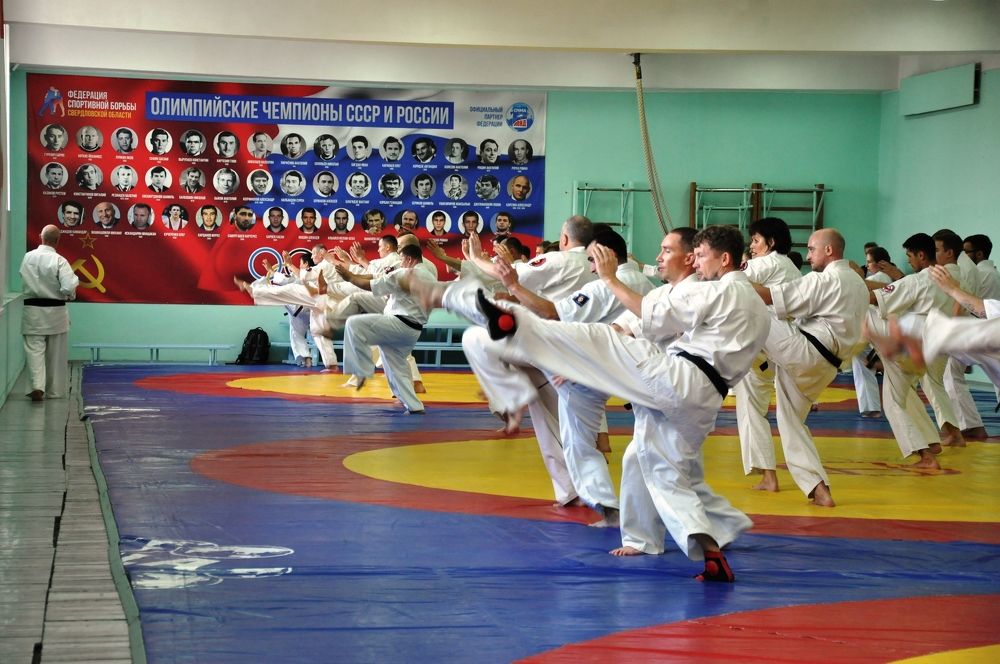 Семинар каратэ