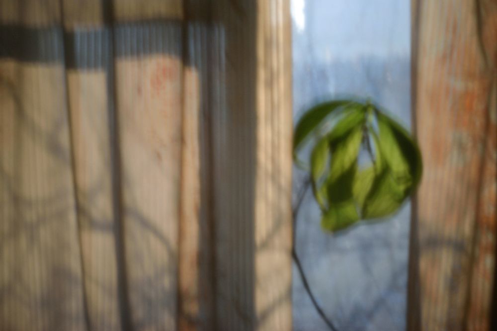 Photograph by Tatyana