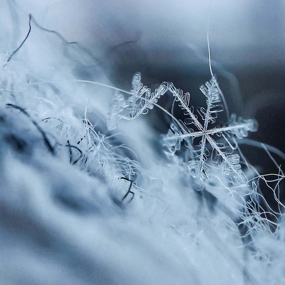 Photograph by Ольга Посадская