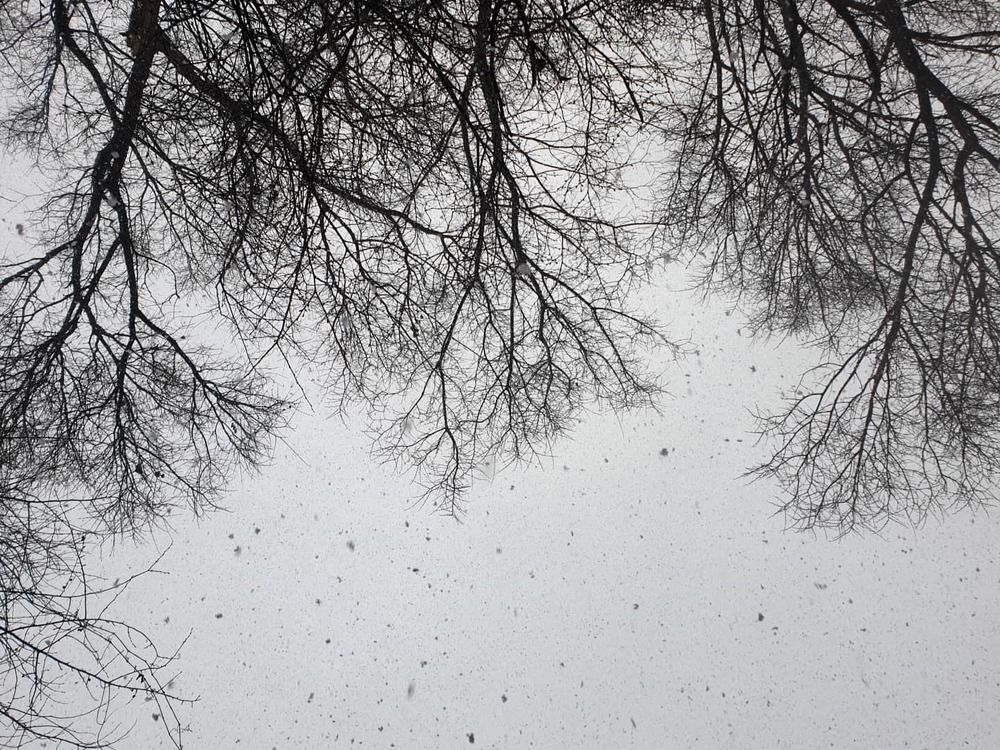 Photograph by Ассоль