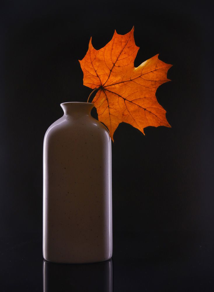 Рыжий лист кленовый...