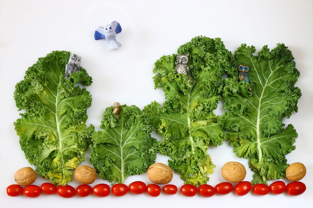 Совиный лес.