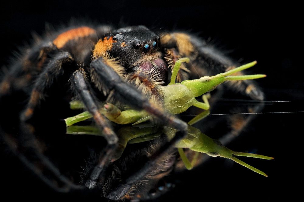 Conversation and Reflection