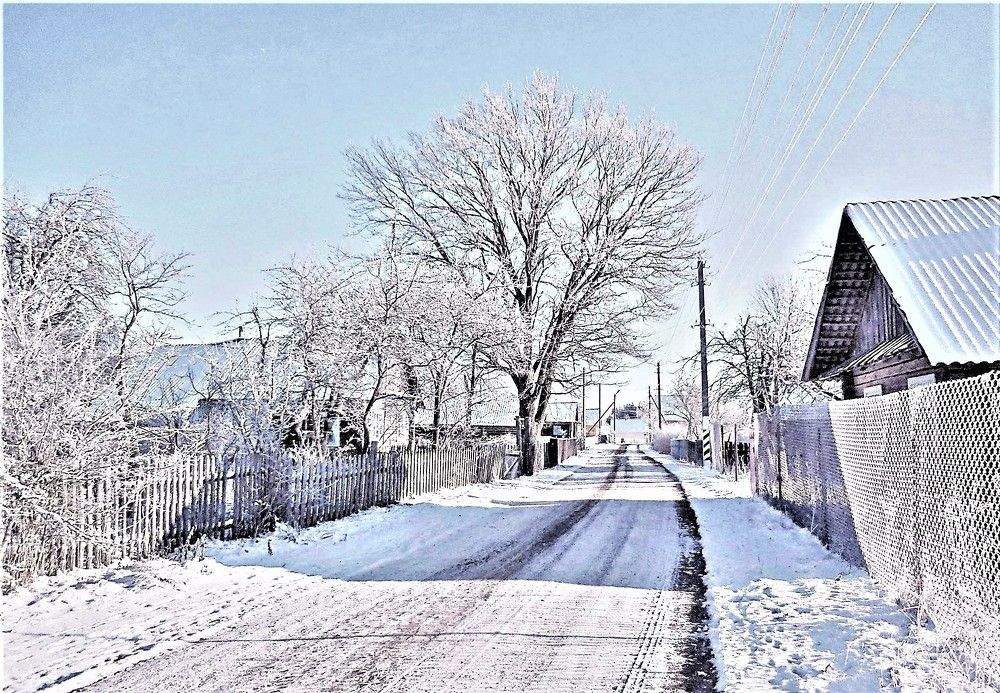 Photograph by TERESA Yurkevich