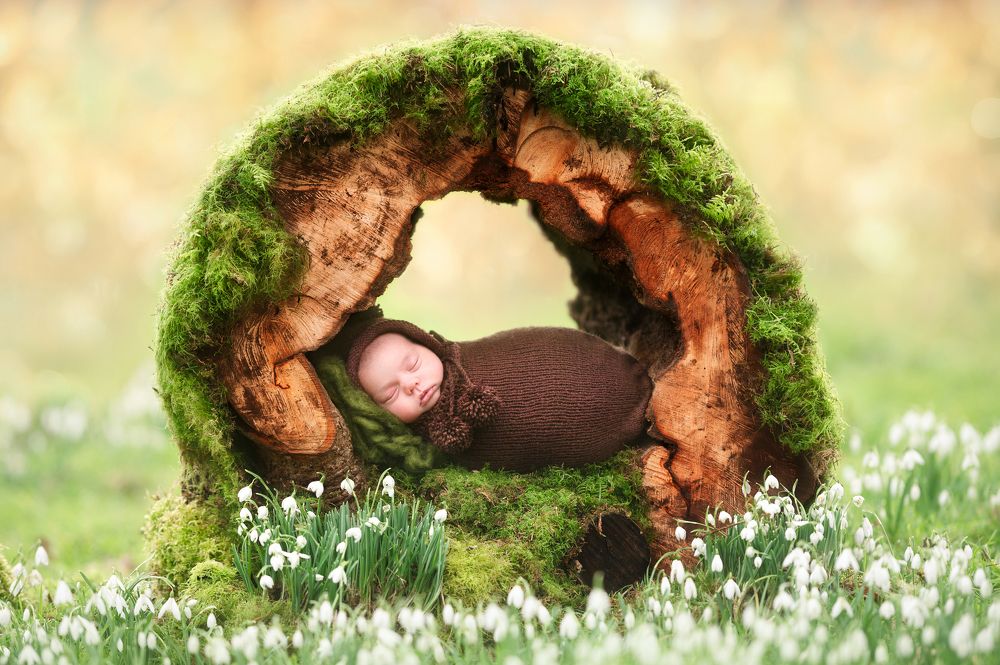 Photograph by Daniel Baksza