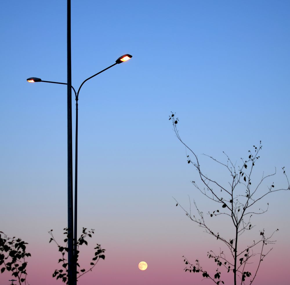 Photograph by Darya Dolinina