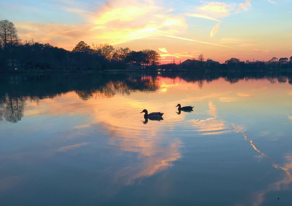 Photograph by Игорь Лотыш