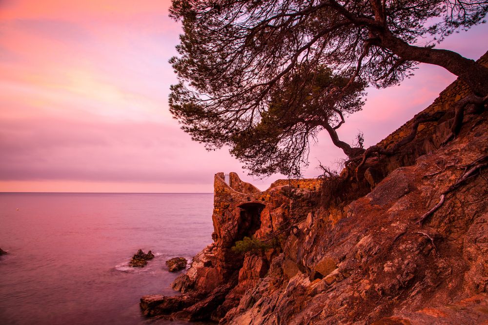 Photograph by Балакин Евгений