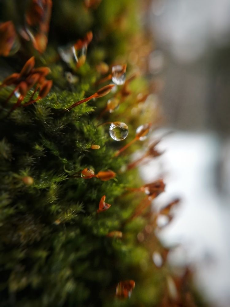 Фотография автора Евгения Снигирева