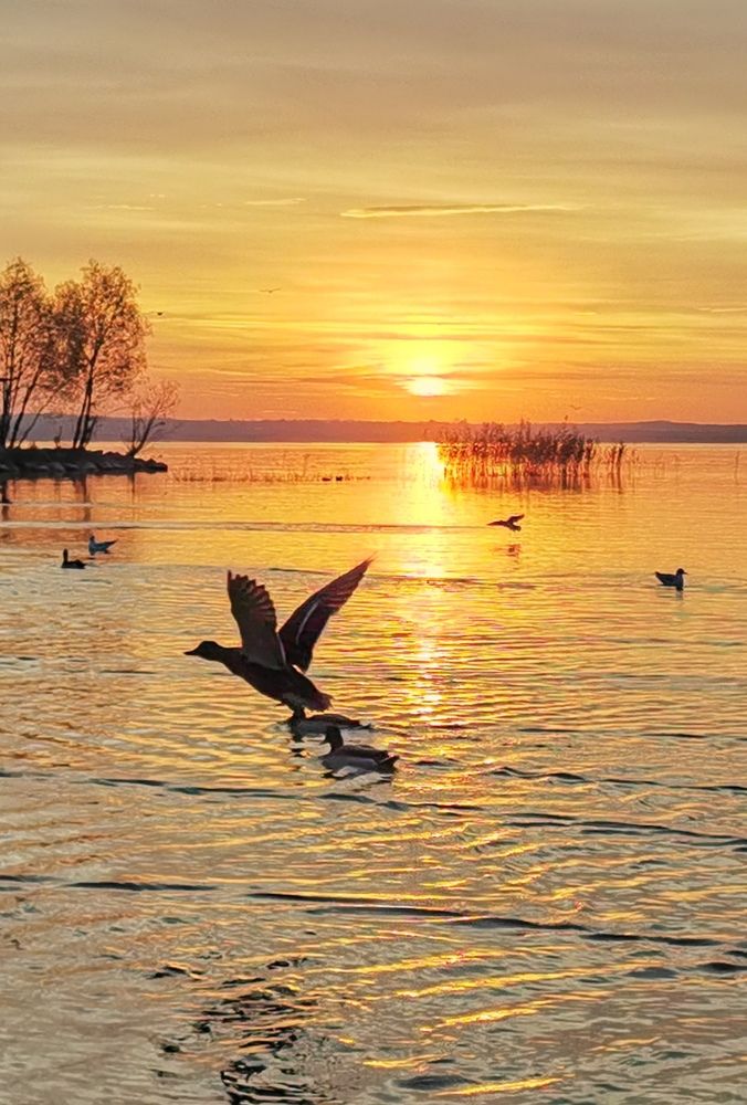 Осенний закат на Плещеевом озере