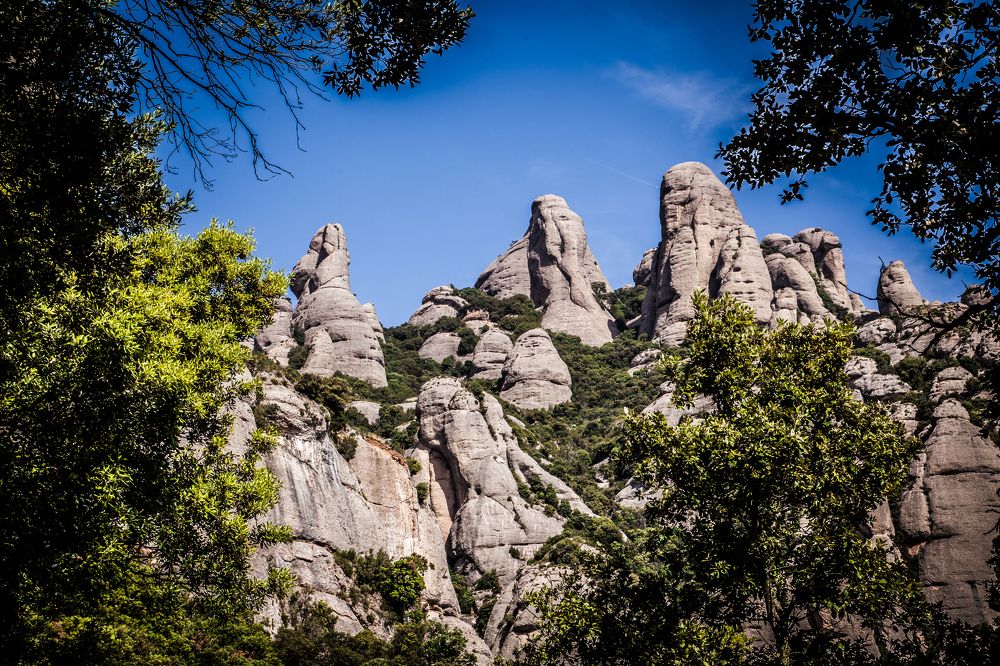 Photograph by Балакин Евгений