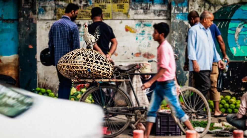 Photograph by Soumya Das