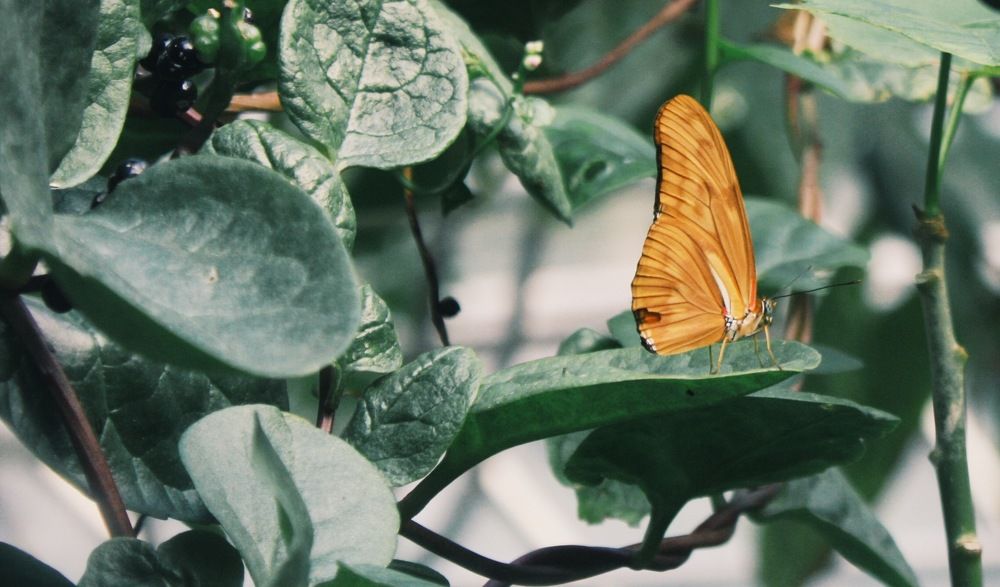 Photograph by Luisa manzano