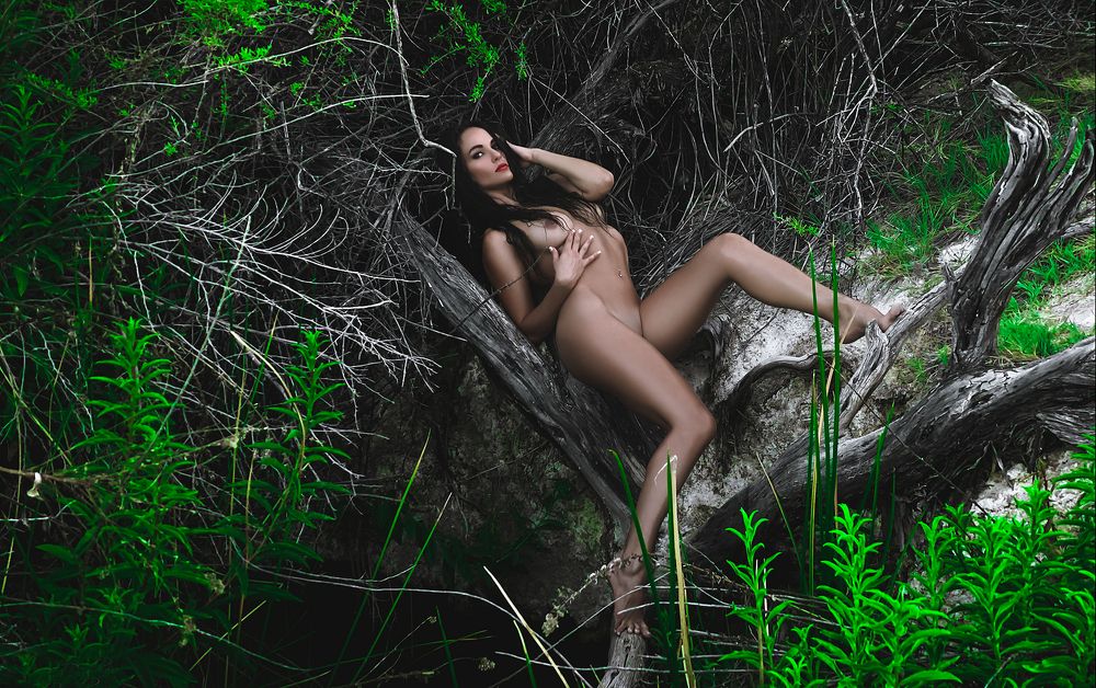 Photograph by Баженов Денис