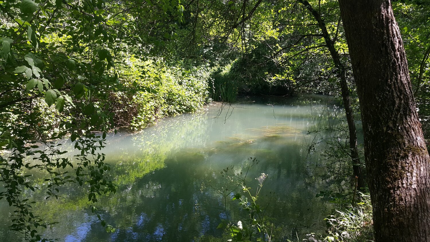 Photo #5665624