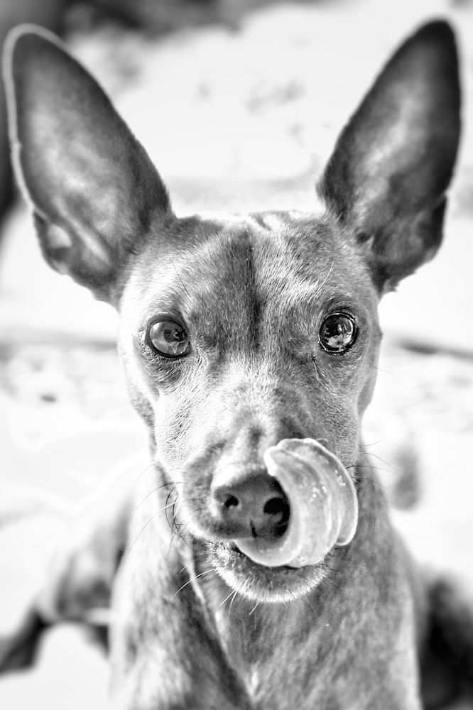 Photograph by Игорь Маслов