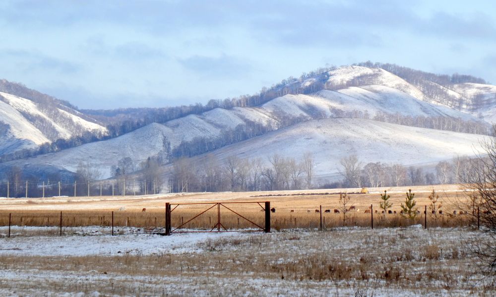 Photograph by Жанна Валиева