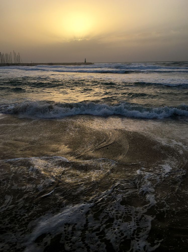 Photograph by Алина Чеснокова