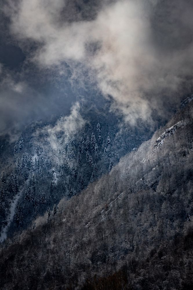 Photograph by Lionel Thenadey