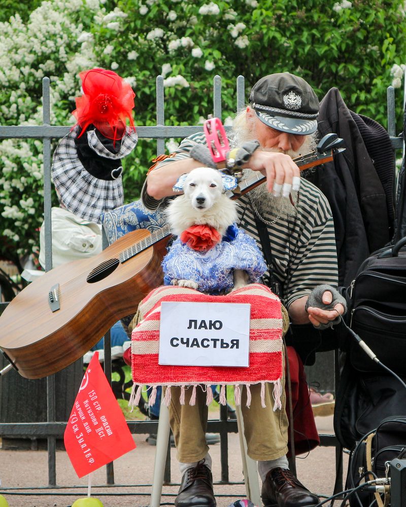 Лаю счастья