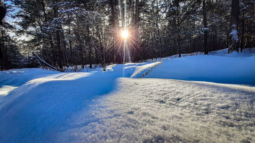 Мороз и солнце - день чудесный