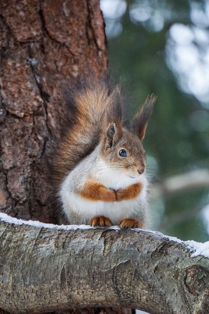 Сделаем вид, что я тебя не замечаю, фотографируй