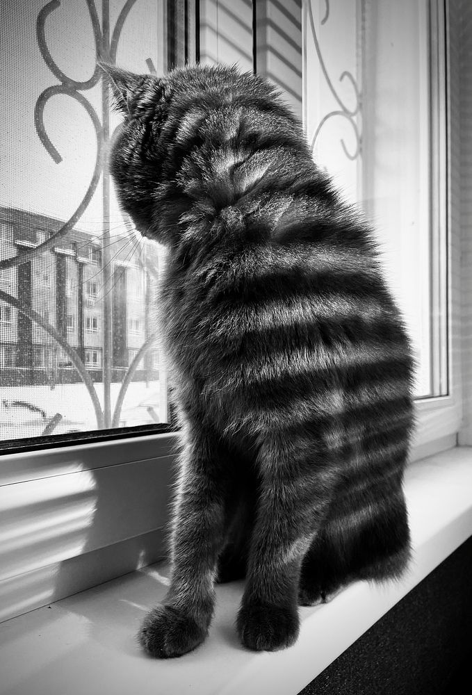 Photograph by Андрей Смирнов