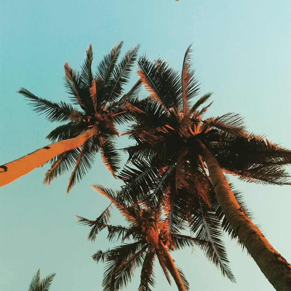 In the middle of nowhere