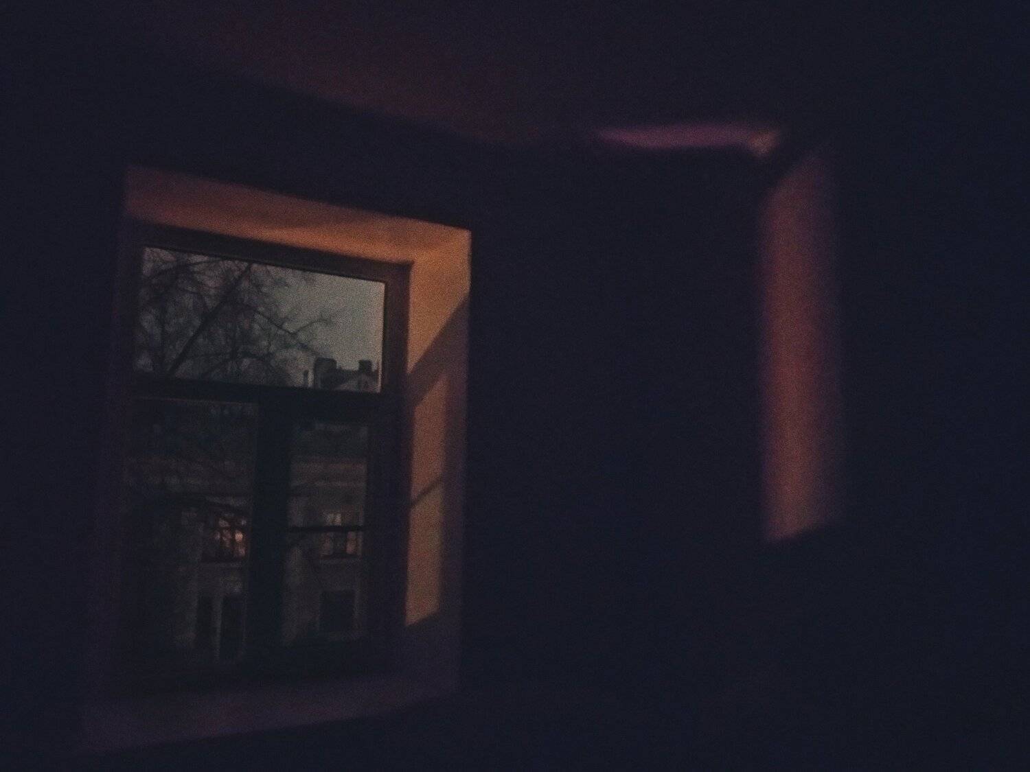 Photo #5665935