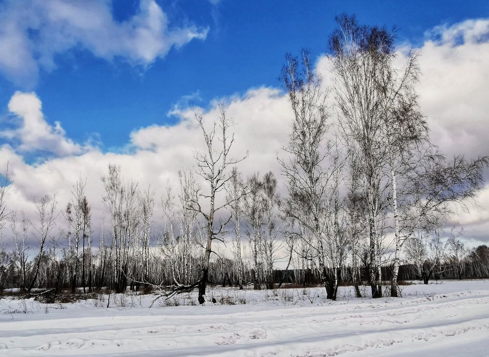 Photograph by Нина Дорожинская