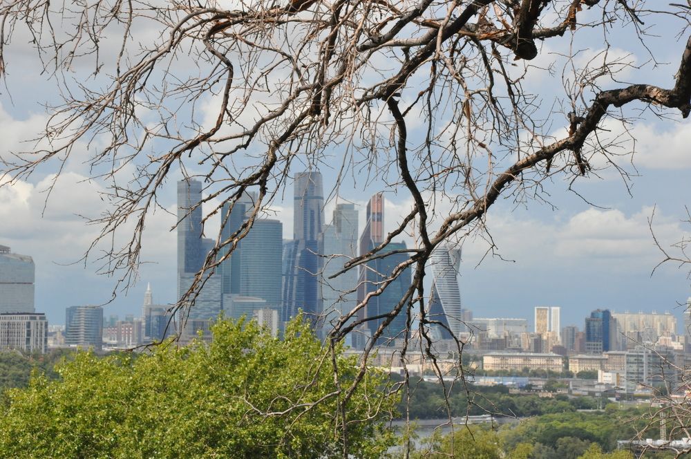 Photograph by Валерия Перфильева