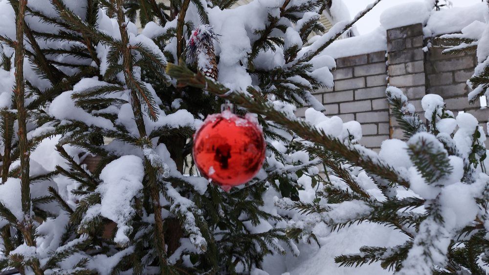 Photograph by ЭЛЬМИРА  ИСМАИЛОВА