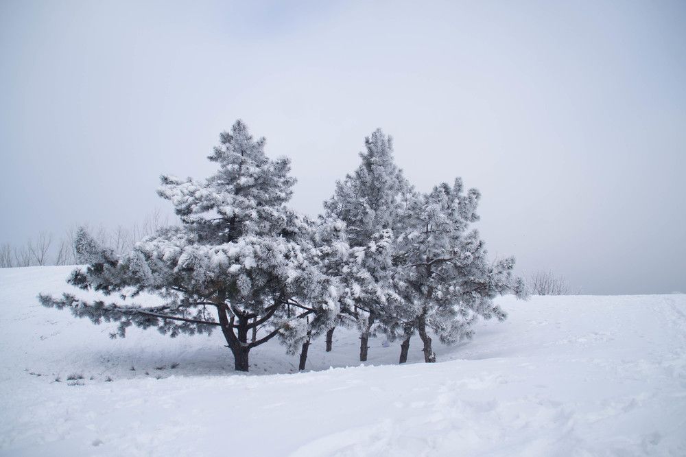 Photograph by Ирина Нагорная