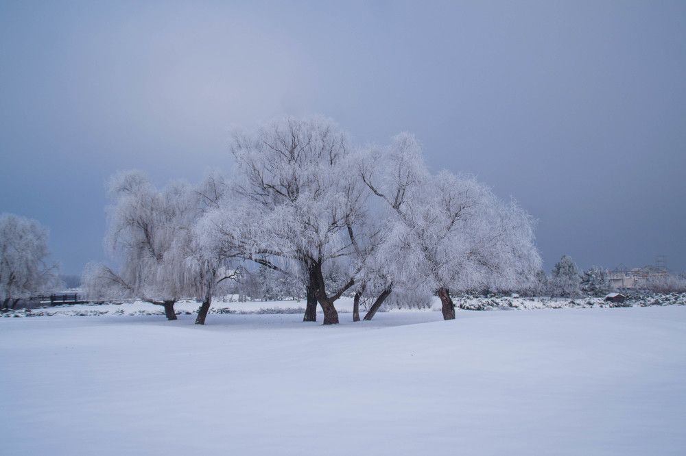 Photograph by Ирина Нагорная