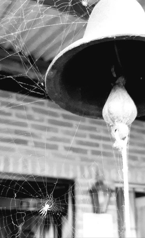 Spiderweb