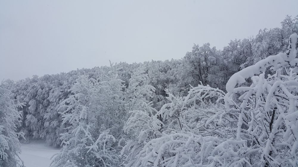 Photo #5666076