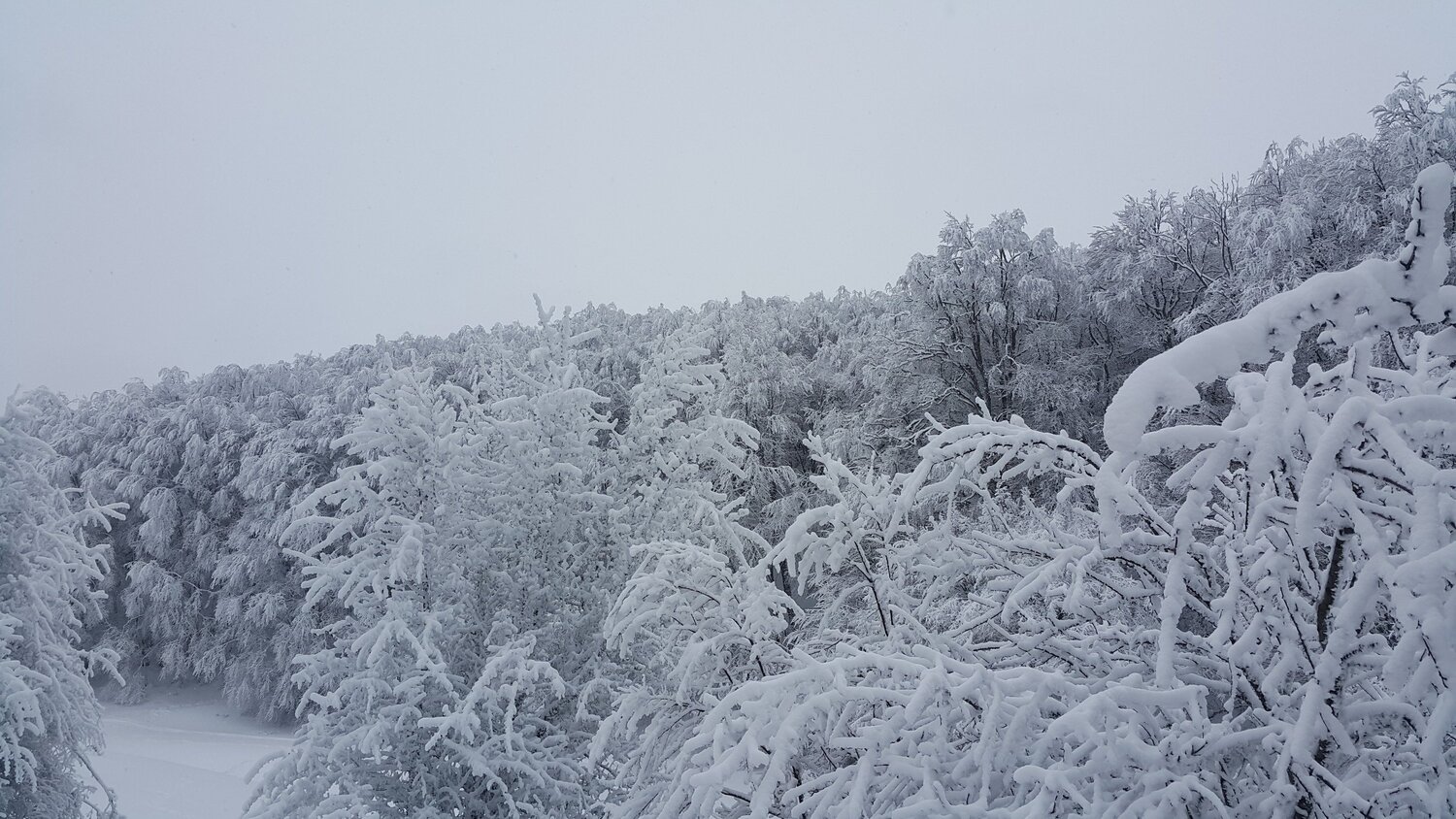 Photo #5666076